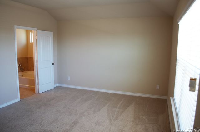 1623 Tree, San Antonio, TX 78245