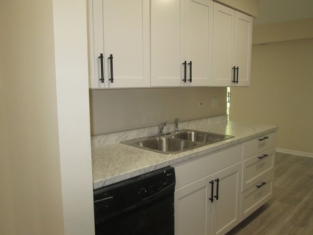920 CASEY Court 4, Schaumburg, IL 60173