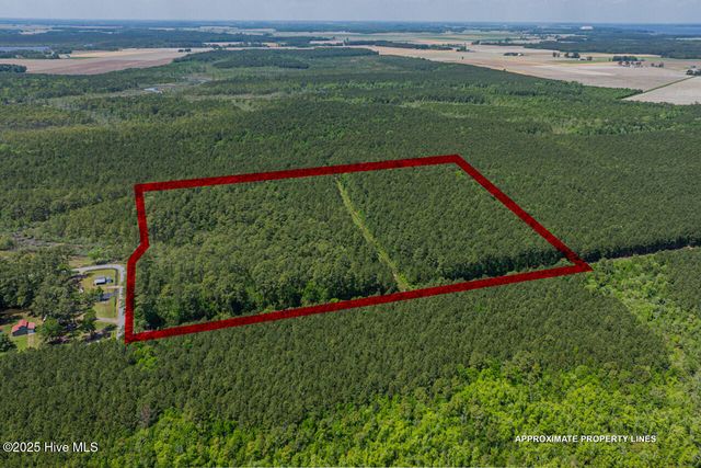 00000 Frog Island Road, Elizabeth City, NC 27909