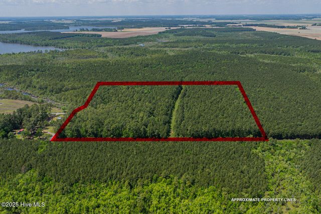00000 Frog Island Road, Elizabeth City, NC 27909