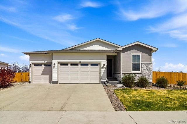4461 Rapport Drive, Castle Rock, CO 80104
