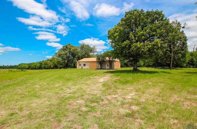923 CR 2650, Mineola, TX 75773
