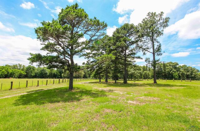 923 CR 2650, Mineola, TX 75773