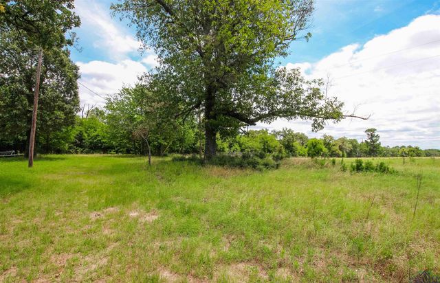 923 CR 2650, Mineola, TX 75773