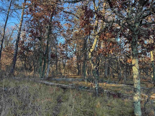 Lot 1 Sandy Shores Dr, Minong, WI 54859