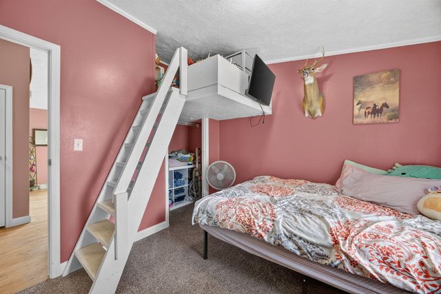 5110 N Cedar Lake Road NE, Edmore, MI 48829