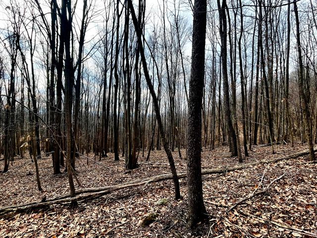 00 Nemmo RD, Vinton, VA 24179