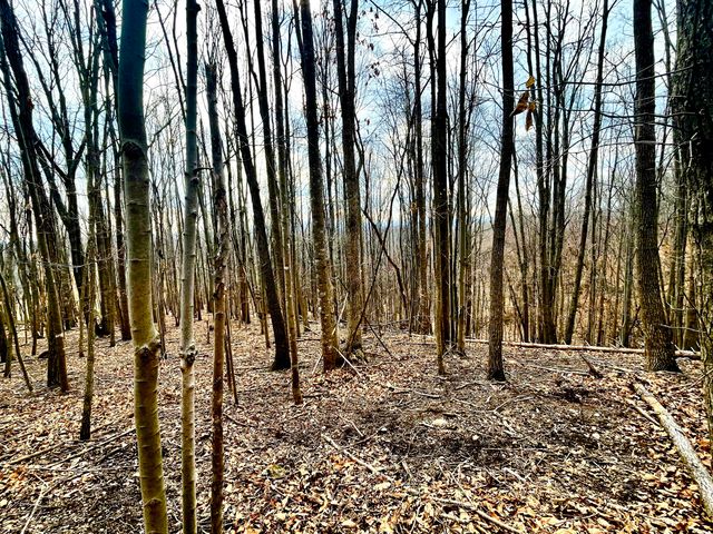 00 Nemmo RD, Vinton, VA 24179