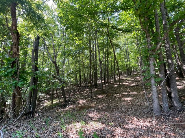 00 Nemmo RD, Vinton, VA 24179