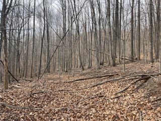 00 Nemmo RD, Vinton, VA 24179