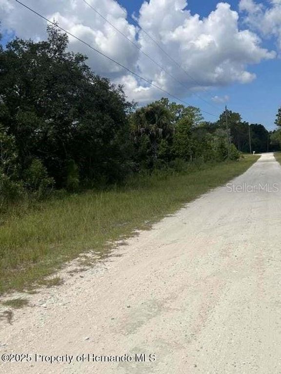 00 00 YELLOW FROG AVENUE, Weeki Wachee, FL 34614