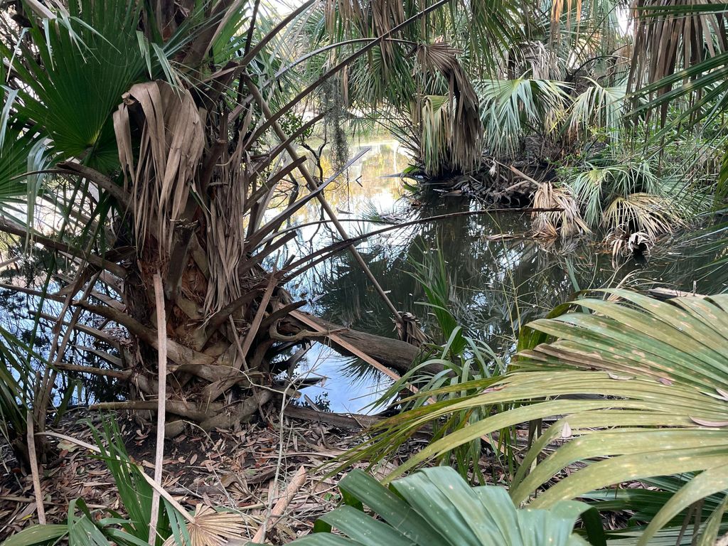 Image 11 of property listing at 539 Oristo Ridge, Edisto Beach, SC 29438