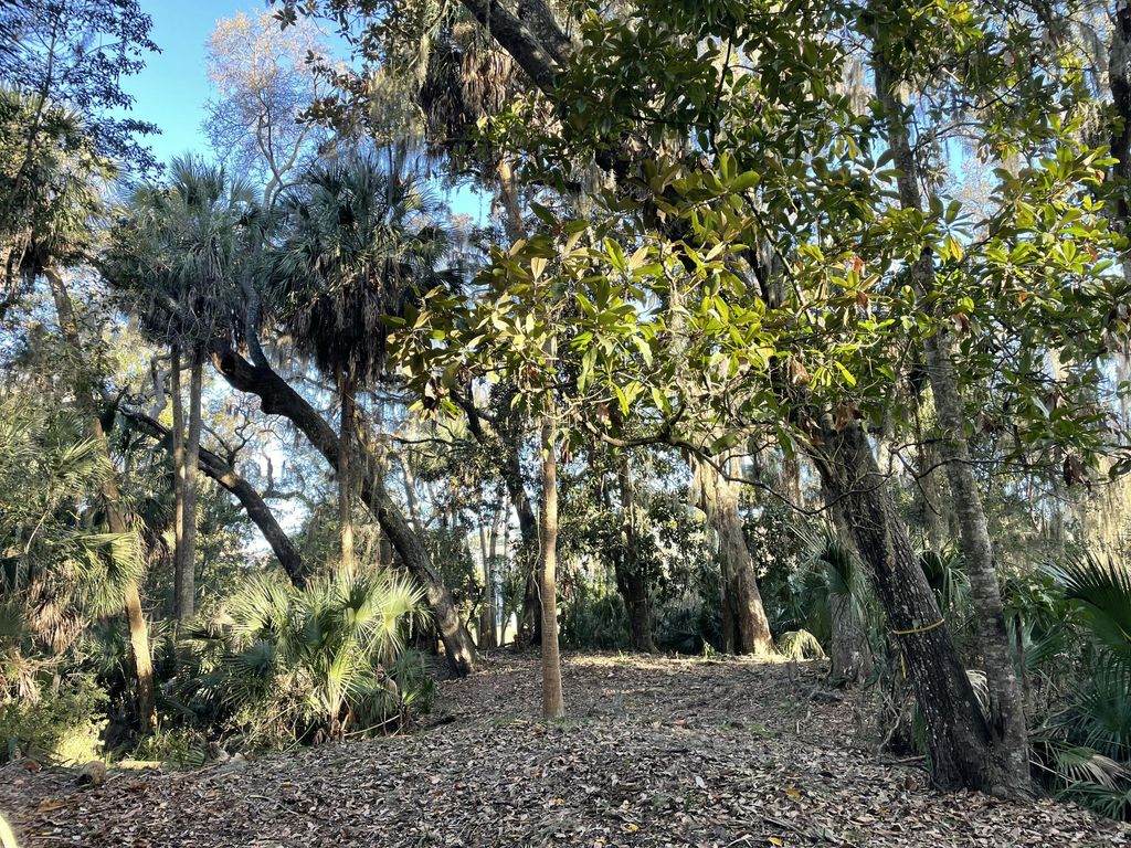 Image 2 of property listing at 539 Oristo Ridge, Edisto Beach, SC 29438