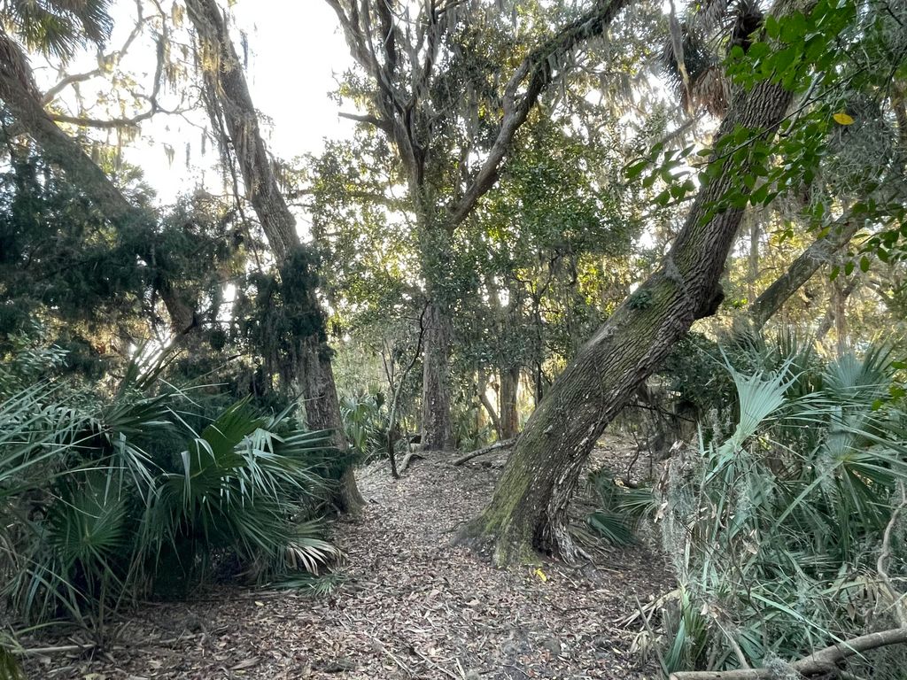 Image 3 of property listing at 539 Oristo Ridge, Edisto Beach, SC 29438