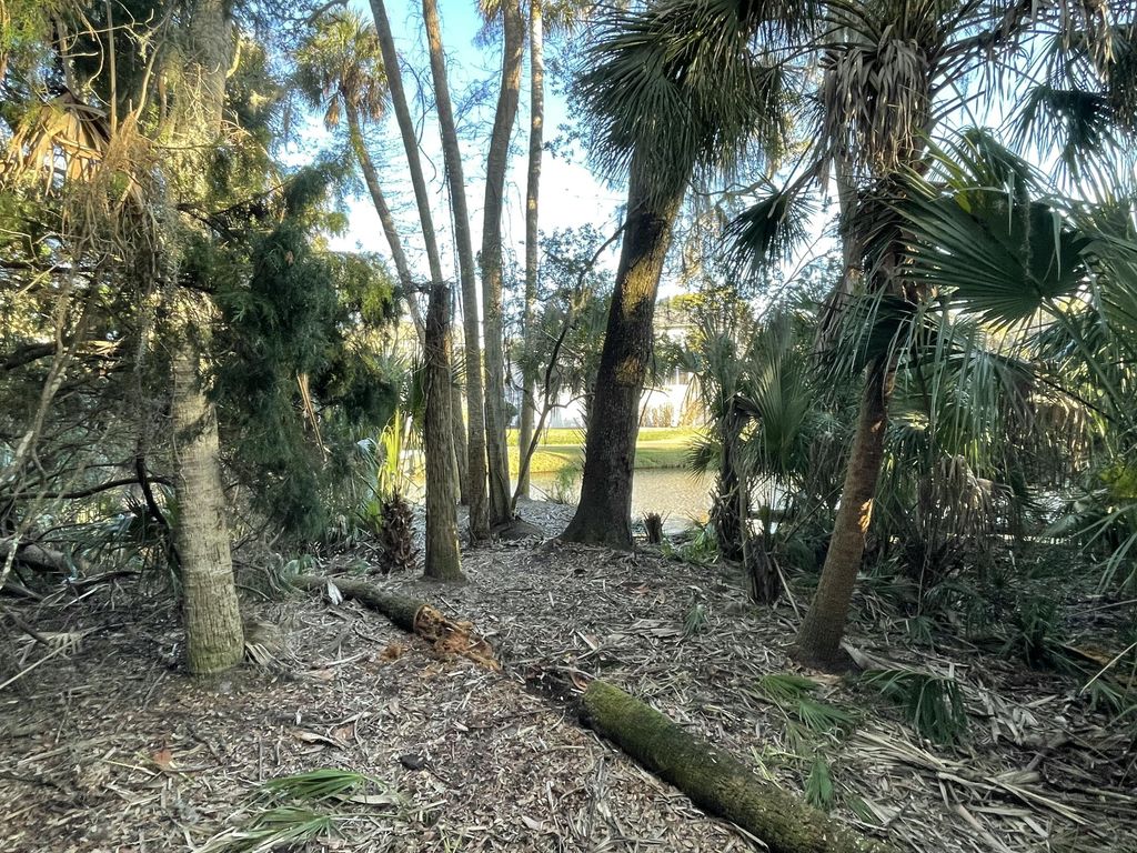 Image 4 of property listing at 539 Oristo Ridge, Edisto Beach, SC 29438
