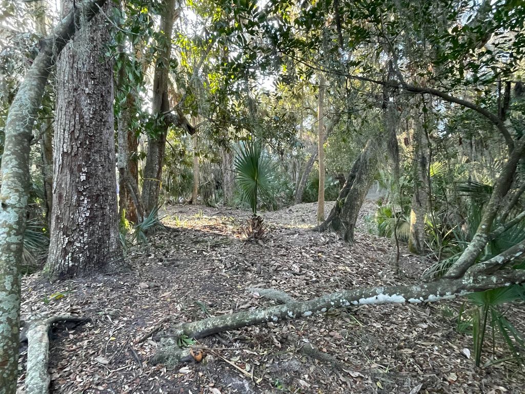 Image 5 of property listing at 539 Oristo Ridge, Edisto Beach, SC 29438