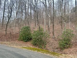 00 Indian Pipe Trail, Landrum, SC 29356