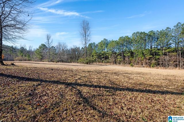 823 JOHN LIGHTSEY ROAD, Childersburg, AL 35044