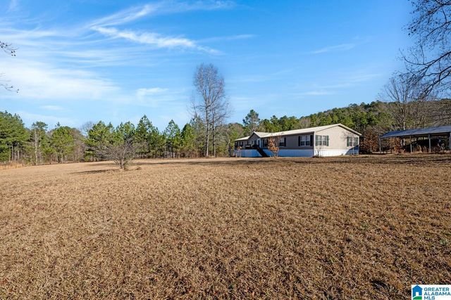 823 JOHN LIGHTSEY ROAD, Childersburg, AL 35044