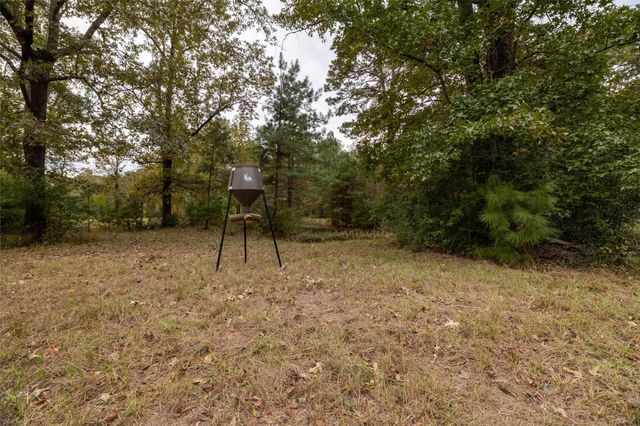 701 Ira Denson Road, Coldspring, TX 77331