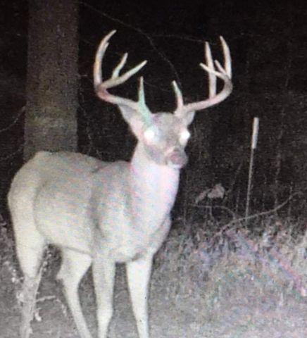 701 Ira Denson Road, Coldspring, TX 77331