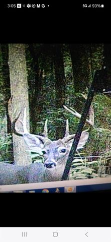 701 Ira Denson Road, Coldspring, TX 77331