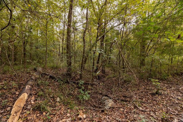 701 Ira Denson Road, Coldspring, TX 77331