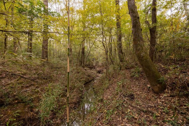 701 Ira Denson Road, Coldspring, TX 77331