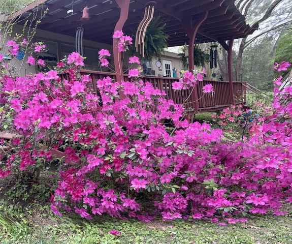 701 Ira Denson Road, Coldspring, TX 77331