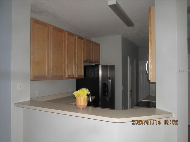 244 CHELSEA DRIVE, Davenport, FL 33897