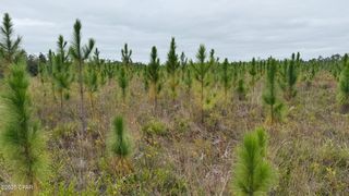 10900 E Hwy 388, Youngstown, FL 32466