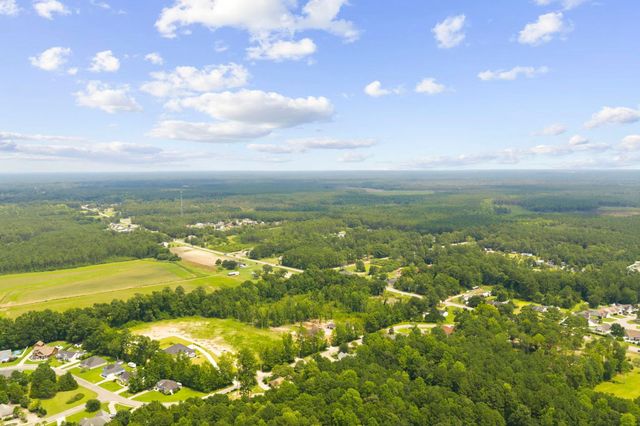 TBD Highway 905, Conway, SC 29526