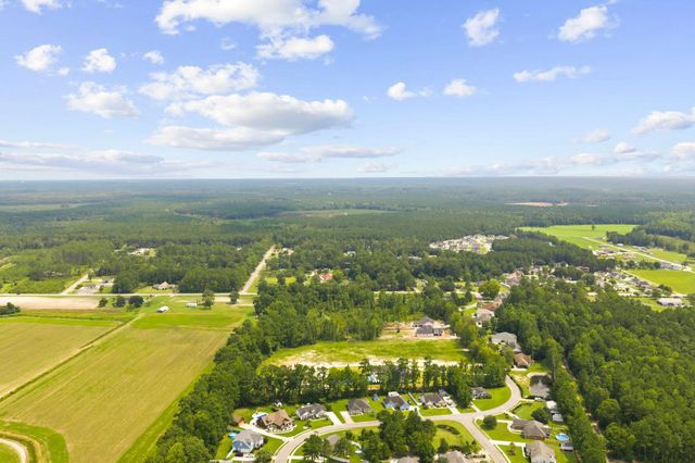 TBD Highway 905, Conway, SC 29526