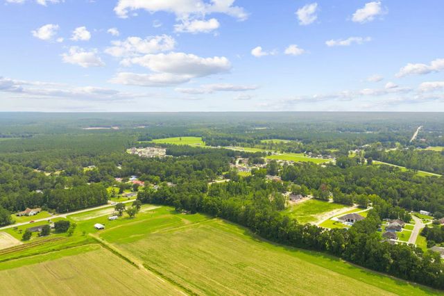 TBD Highway 905, Conway, SC 29526