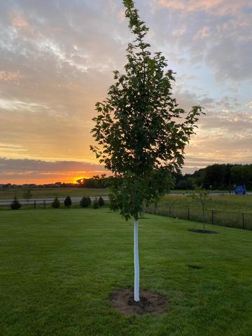 745 152nd Avenue NW, Andover, MN 55304