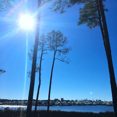 9100 Baytowne Wharf Boulevard UNIT 562, Miramar Beach, FL 32550