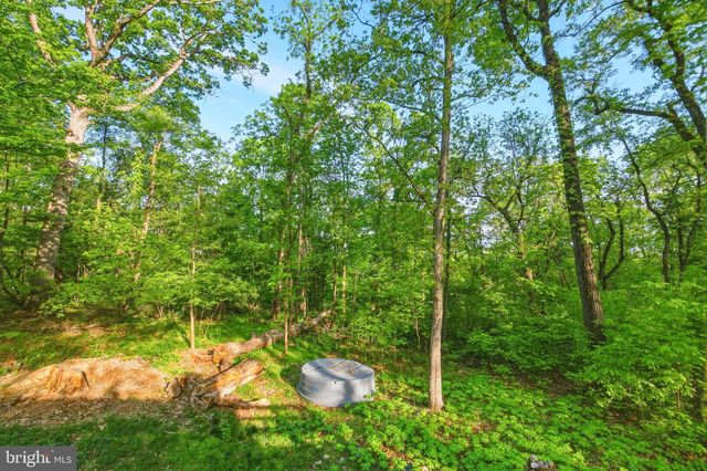 816 HILLTOP LN, Mount Jackson, VA 22842