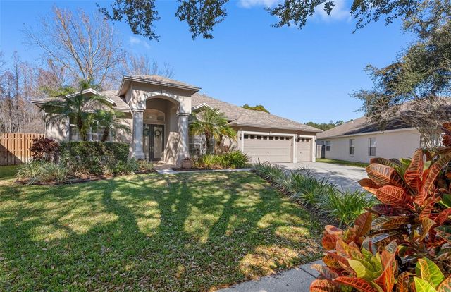 19321 WIND DANCER STREET, Lutz, FL 33558