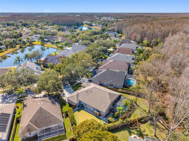 19321 WIND DANCER STREET, Lutz, FL 33558