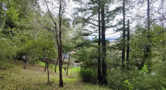 15971 Forest Hill Drive, Boulder Creek, CA 95006
