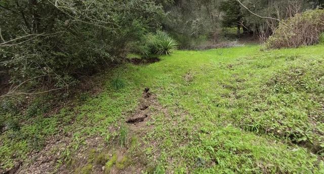 15971 Forest Hill Drive, Boulder Creek, CA 95006