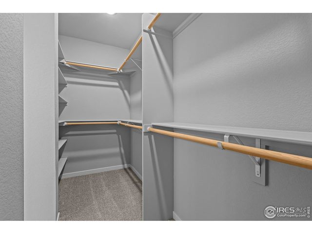 2769 Blue Iris Dr, Loveland, CO 80538