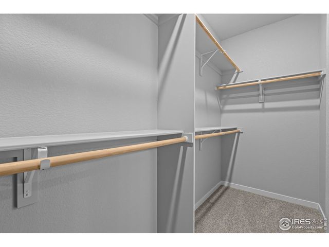 2769 Blue Iris Dr, Loveland, CO 80538