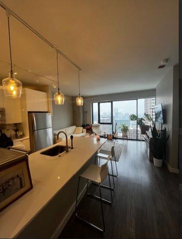 833 N Clark Street 2408, Chicago, IL 60610