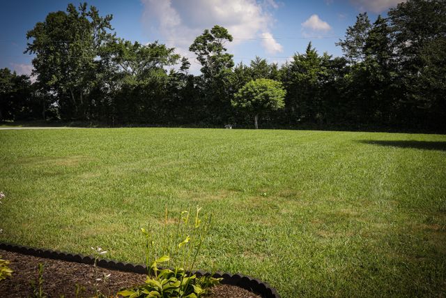 280 Switchboard RD, Portland, TN 37148