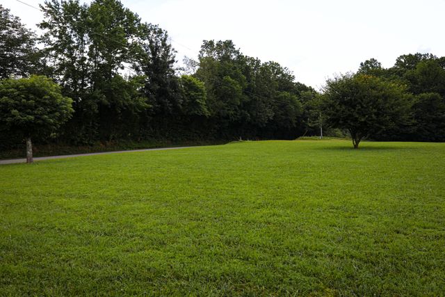 280 Switchboard RD, Portland, TN 37148