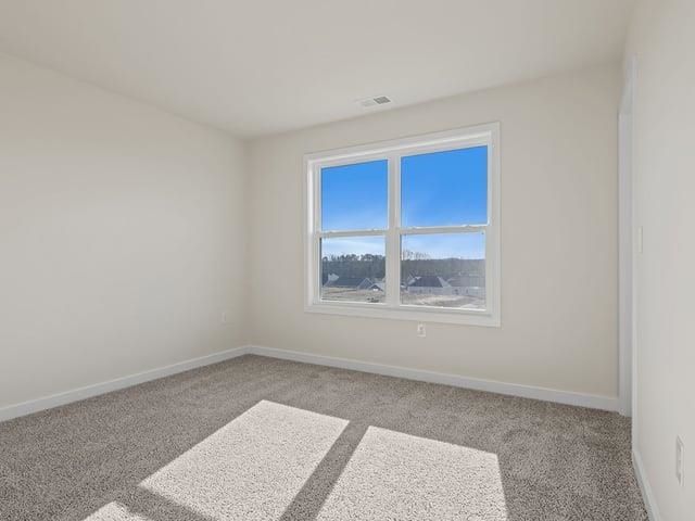 237 Paperbark Drive, Greenville, SC 29607