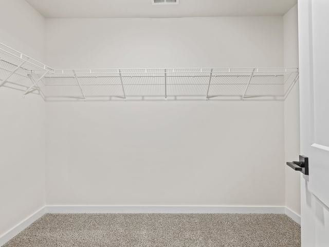 237 Paperbark Drive, Greenville, SC 29607