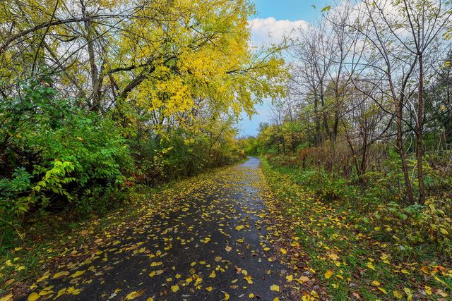 31603 Kline Circle, Warrenville, IL 60555