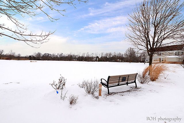 31603 Kline Circle, Warrenville, IL 60555